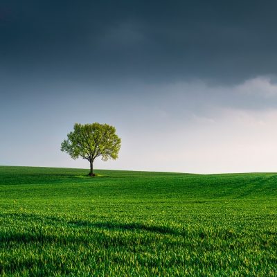 world environment day