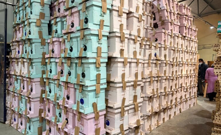 Nippon Paint India Partners with Humble Bee to Strengthen Sustainable Apiculture in India