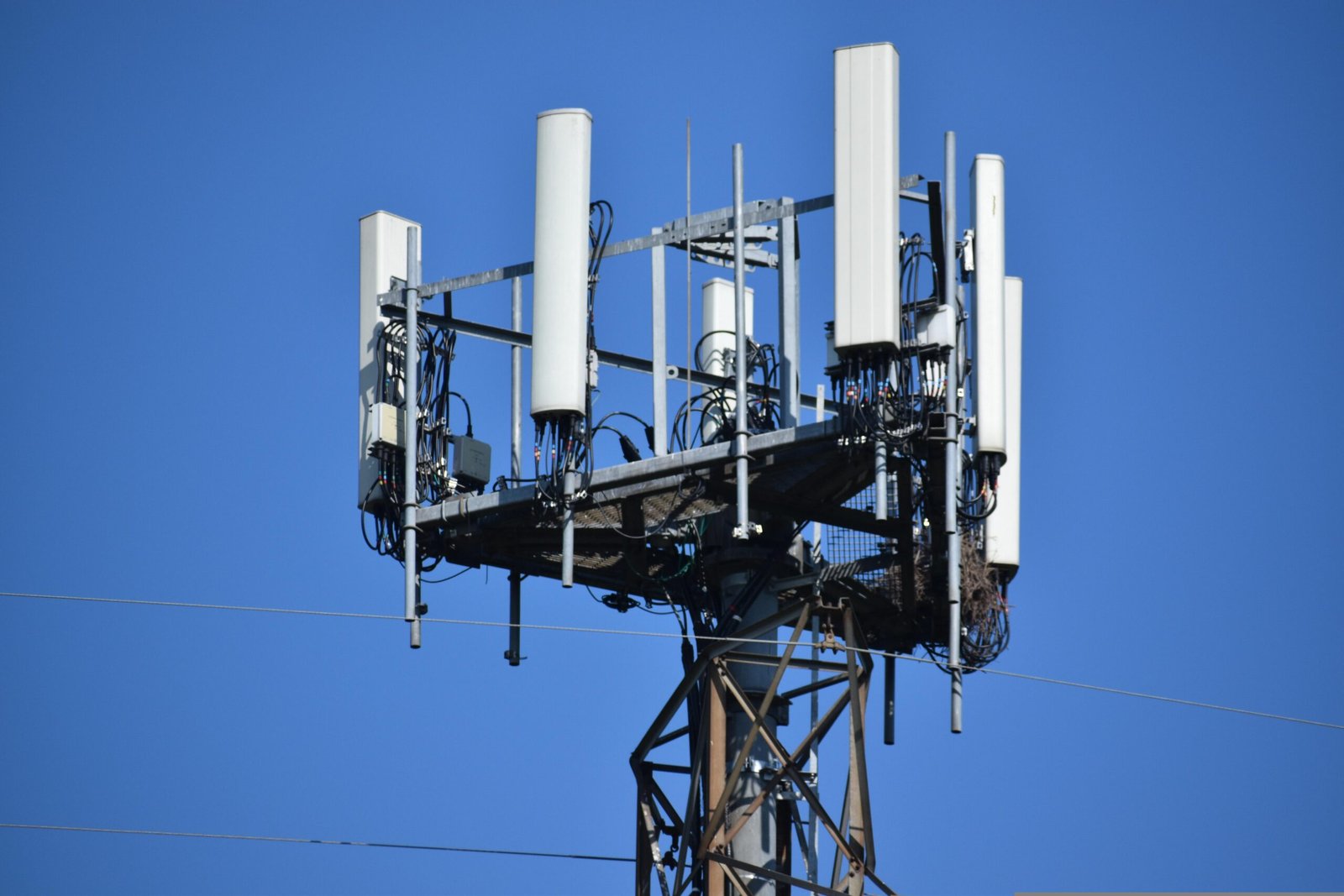 COAI Welcomes Launch of 5G Network Slicing in India, Calls It a Milestone in Digital Infrastructure